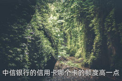 中信銀行的信用卡哪個卡的額度高一點