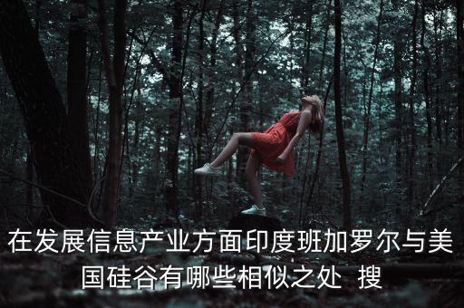 在發(fā)展信息產(chǎn)業(yè)方面印度班加羅爾與美國硅谷有哪些相似之處  搜