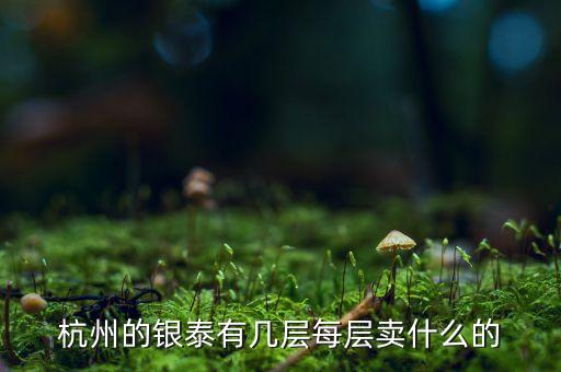 銀泰是做什么的，大圓銀泰是做什么的