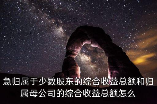 急歸屬于少數(shù)股東的綜合收益總額和歸屬母公司的綜合收益總額怎么