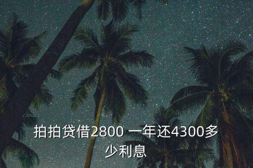 什么是拍拍貸，拍拍貸借2800 一年還4300多少利息