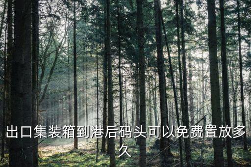 出口集裝箱到港后碼頭可以免費(fèi)置放多久