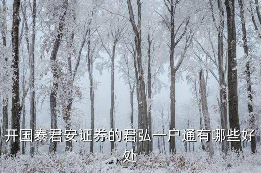 開(kāi)國(guó)泰君安證券的君弘一戶通有哪些好處