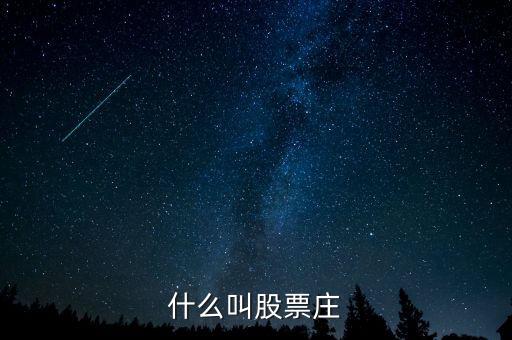 什么叫股票莊