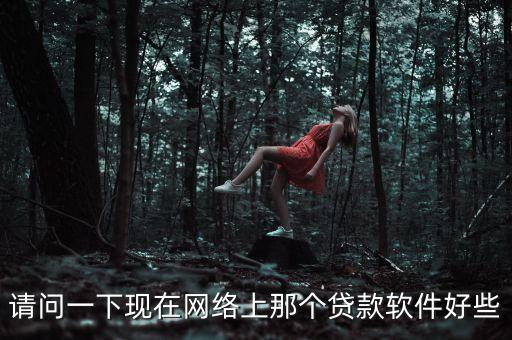 請問一下現(xiàn)在網(wǎng)絡上那個貸款軟件好些