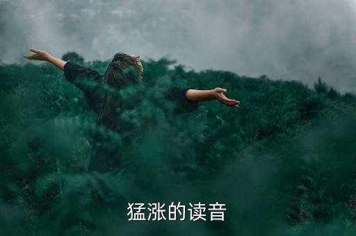 猛漲的漲讀什么，猛漲的讀音