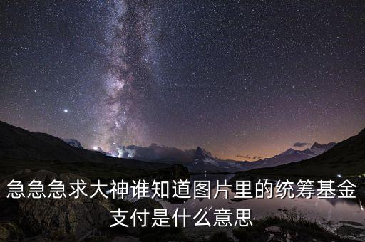 基金支付什么意思，工傷里面的基金支付是什么意思