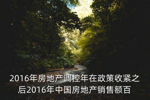 2016房市下一步還能出什么政策，2016年房地產(chǎn)調(diào)控年在政策收緊之后2016年中國(guó)房地產(chǎn)銷售額百