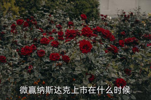 微贏納斯達(dá)克上市在什么時候