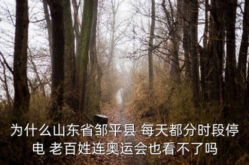為什么山東省鄒平縣 每天都分時段停電 老百姓連奧運(yùn)會也看不了嗎