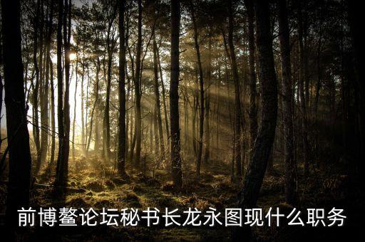 前博鰲論壇秘書(shū)長(zhǎng)龍永圖現(xiàn)什么職務(wù)