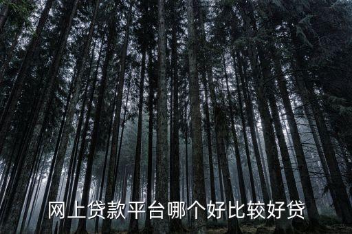 網(wǎng)上貸款平臺哪個好比較好貸