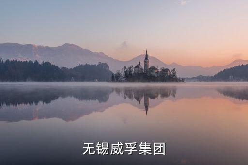 無(wú)錫威孚集團(tuán)