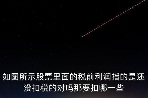如圖所示股票里面的稅前利潤指的是還沒扣稅的對嗎那要扣哪一些