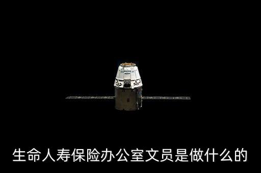 生命人壽保險(xiǎn)辦公室文員是做什么的