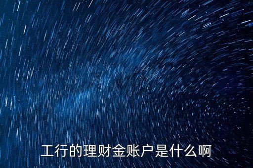 工行的理財(cái)金賬戶是什么啊