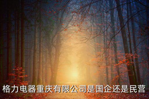 格力為什么是國企，格力是國企為什么董明珠有股份 身家那么多不是應(yīng)該是領(lǐng)年薪和分