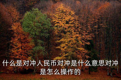 什么是對(duì)沖頭寸，什么是對(duì)沖人民幣對(duì)沖是什么意思對(duì)沖是怎么操作的