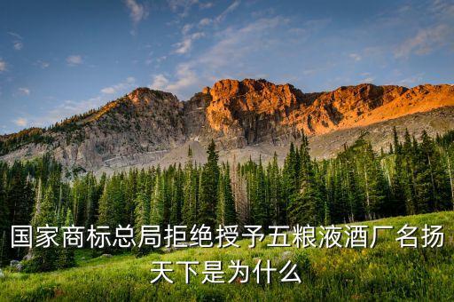 國家商標(biāo)總局拒絕授予五糧液酒廠名揚(yáng)天下是為什么