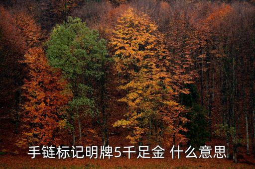明牌s千足金是什么意思，手鏈標(biāo)記明牌5千足金 什么意思