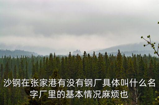 沙鋼在張家港有沒有鋼廠具體叫什么名字廠里的基本情況麻煩也