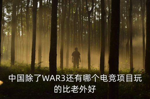 中國除了WAR3還有哪個電競項目玩的比老外好