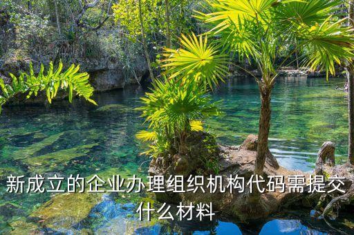 新成立的企業(yè)辦理組織機(jī)構(gòu)代碼需提交什么材料