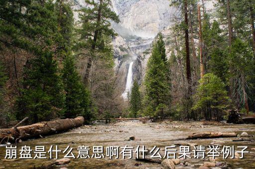 崩盤是什么意思啊有什么后果請(qǐng)舉例子