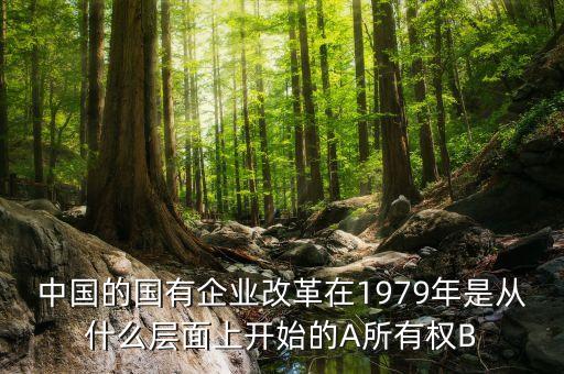 央企改革什么時候開始，今年央企重組什么時候開始
