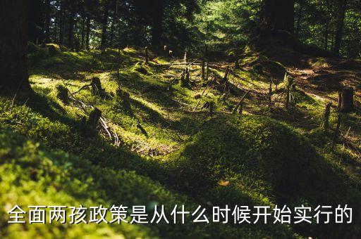 什么時(shí)候?qū)嵭腥鎯珊?，全面兩孩政策是從什么時(shí)候開始實(shí)行的