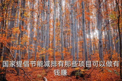 國家提倡節(jié)能減排有那些項目可以做有錢賺