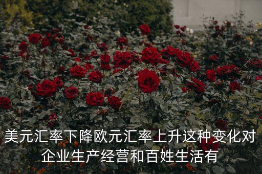 歐元升值對企業(yè)有什么影響，歐元出現(xiàn)對經(jīng)濟(jì)的影響