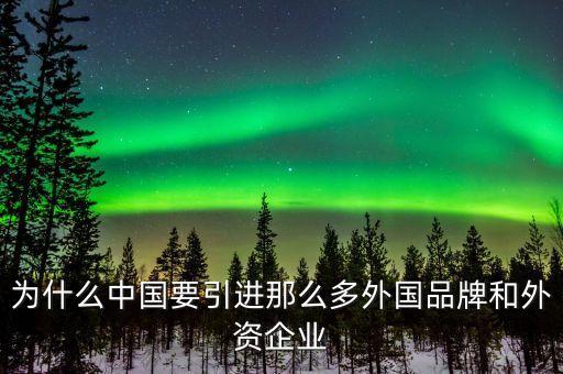 為什么中國(guó)要引進(jìn)那么多外國(guó)品牌和外資企業(yè)