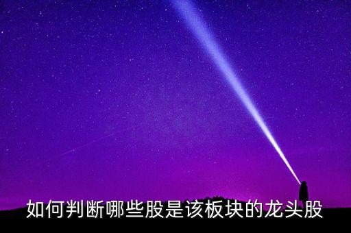 什么叫板塊龍頭股，如何判斷哪些股是該板塊的龍頭股