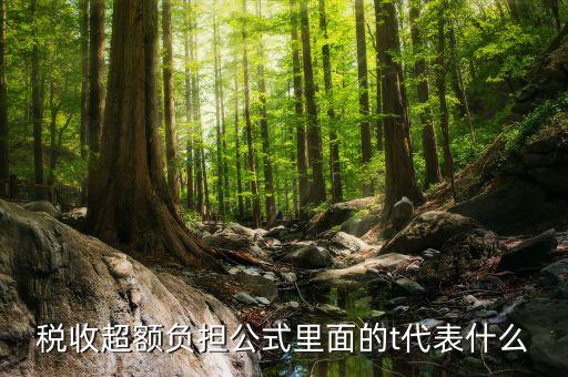 t在經(jīng)濟(jì)中表示什么，高手新人求解答宏觀經(jīng)濟(jì)學(xué)中的G和T代表神馬