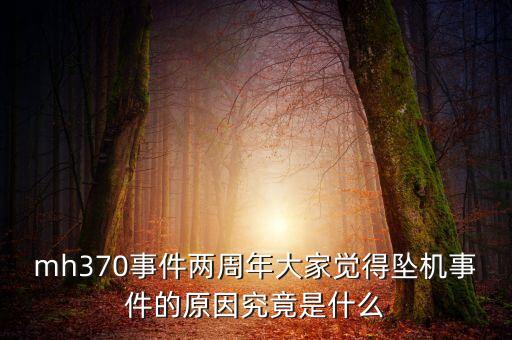 mh370事件兩周年大家覺得墜機(jī)事件的原因究竟是什么