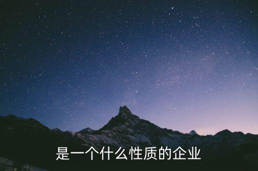 是一個(gè)什么性質(zhì)的企業(yè)