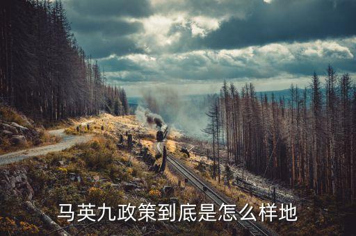 馬英九送習(xí)什么禮，馬英九的歲數(shù)代表什么生肖