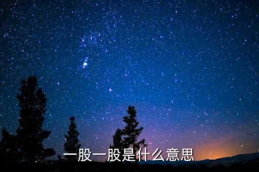 股份一股什么意思，股票的一股是什么意思