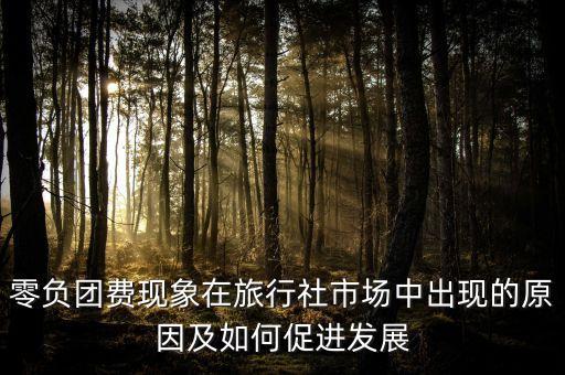 零負(fù)團(tuán)費(fèi)現(xiàn)象在旅行社市場(chǎng)中出現(xiàn)的原因及如何促進(jìn)發(fā)展