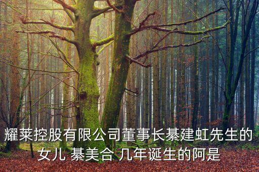 耀萊集團(tuán)董事長(zhǎng)姓什么，武漢耀萊成龍國(guó)際影城老板是成龍嗎
