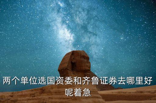 兩個單位選國資委和齊魯證券去哪里好呢著急