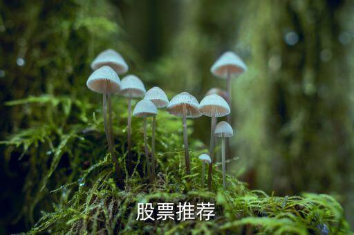 新鋼股份什么時(shí)候倒閉，請(qǐng)問知情人士山西臨汾曲沃的中宇鋼鐵公司怎么樣