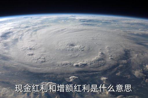 現金紅利和增額紅利是什么意思