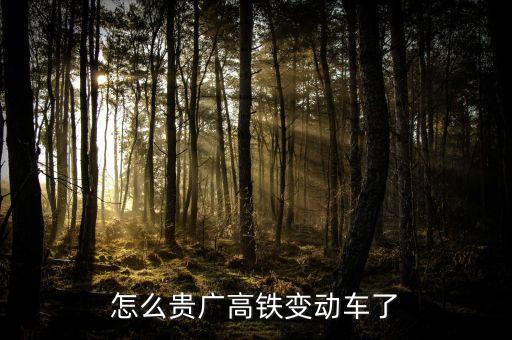 高鐵什么時候變動車，怎么貴廣高鐵變動車了