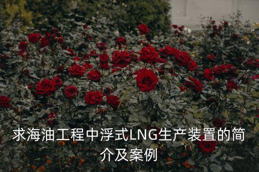 什么是浮式lng項目，什么是浮式LNG