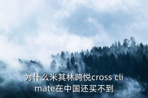 為什么米其林跨悅cross climate在中國(guó)還買不到