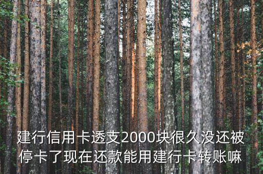 建行信用卡透支2000塊很久沒(méi)還被?？爽F(xiàn)在還款能用建行卡轉(zhuǎn)賬嘛