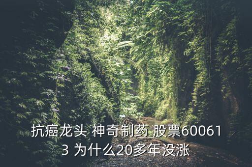 神奇制藥為什么23年不漲，貴州神奇藥業(yè)上市沒(méi)有