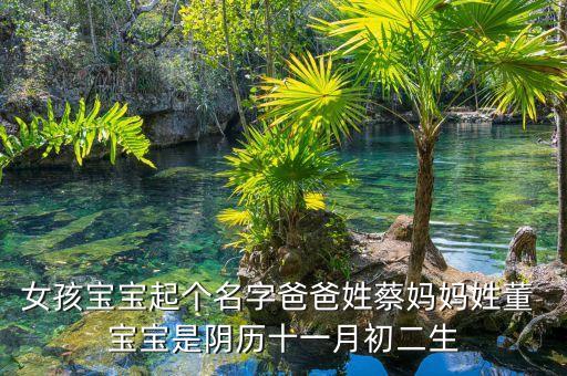 女孩寶寶起個名字爸爸姓蔡媽媽姓董 寶寶是陰歷十一月初二生